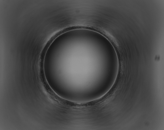 X0000091530580200708311313