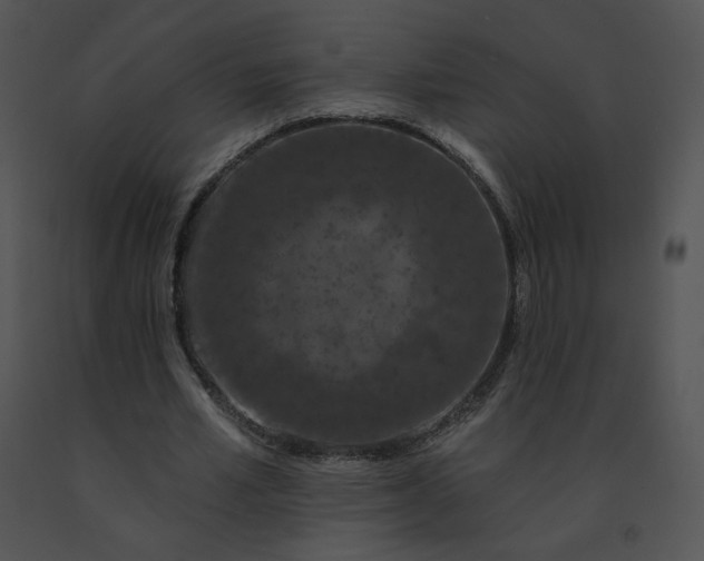 X0000091530581200708311313