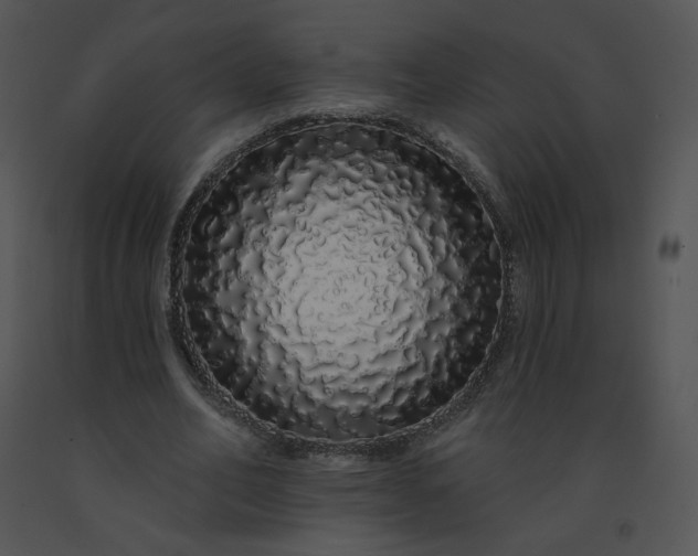 X0000091530582200708311313