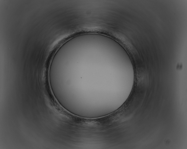 X0000091530583200708311313