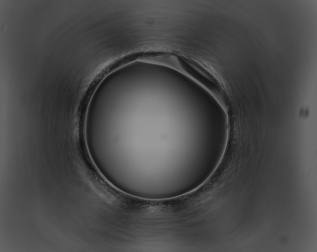 X0000091530584200708311313