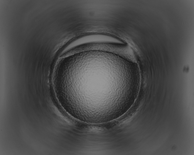 X0000091530585200708311313