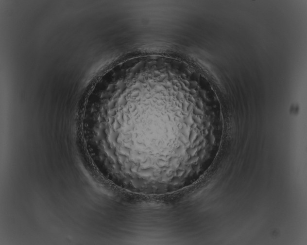 X0000091530586200708311313