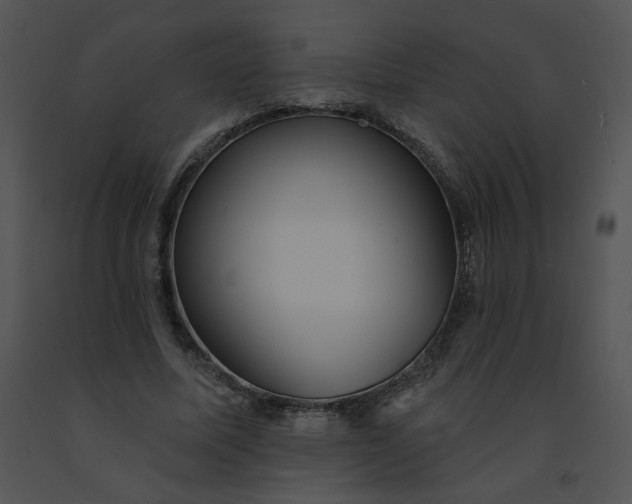 X0000091530587200708311313