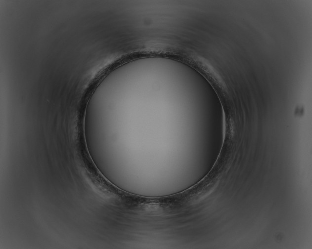 X0000091530588200708311313