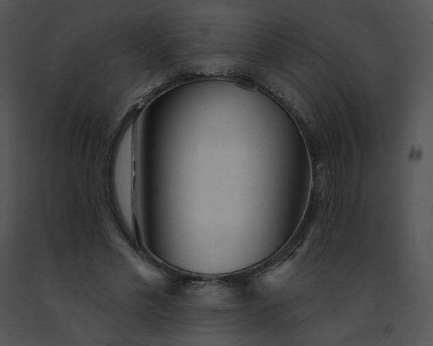 X0000091530589200708311313