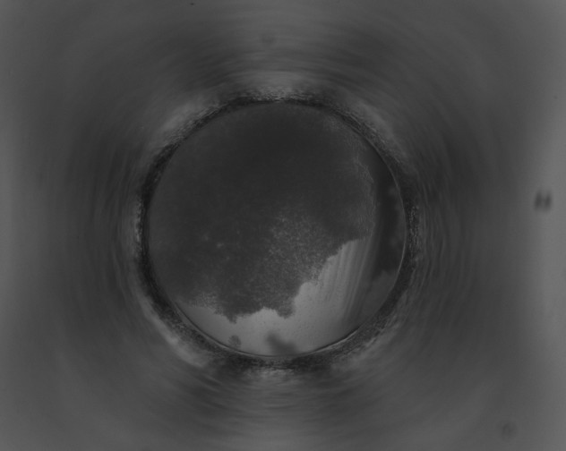 X0000091530590200708311313