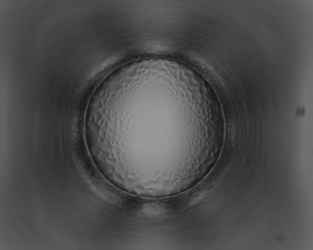 X0000091530591200708311312