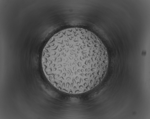 X0000091530592200708311312