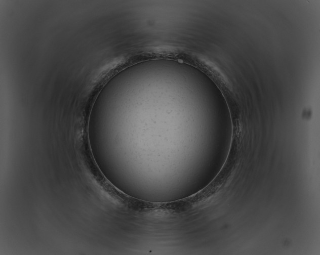 X0000091530593200708311312