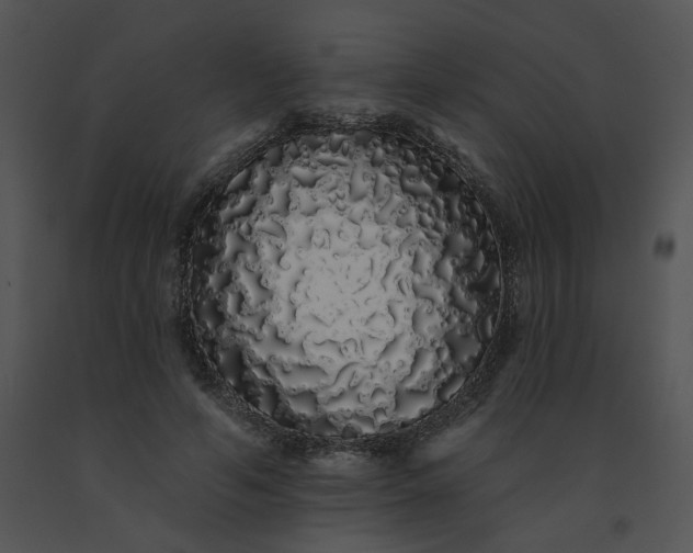 X0000091530594200708311312