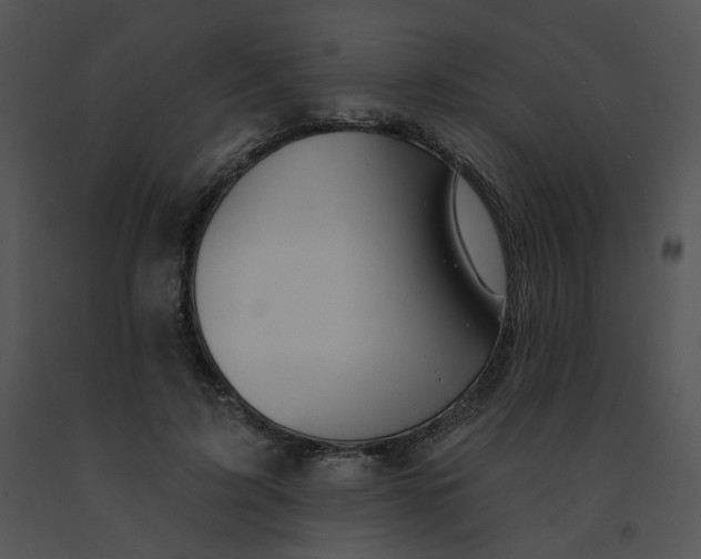X0000091530595200708311312