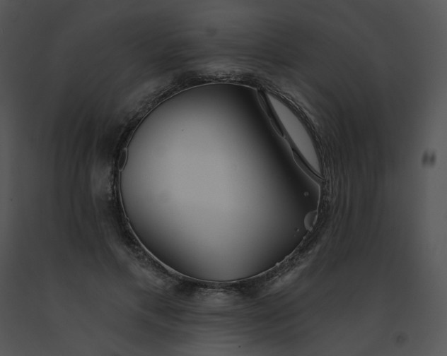 X0000091530597200708311312