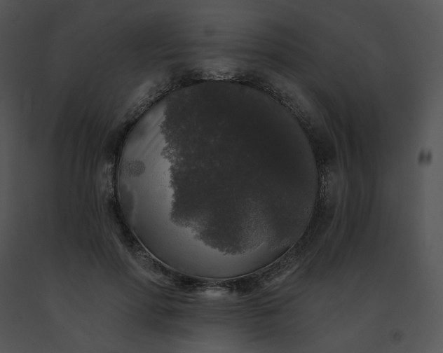 X0000091530598200708311312
