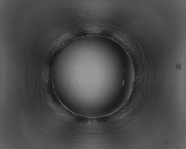 X0000091530600200708311312