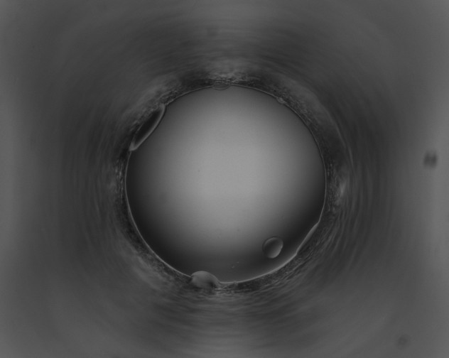 X0000091530601200708311312