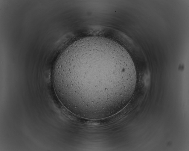 X0000091530602200708311312