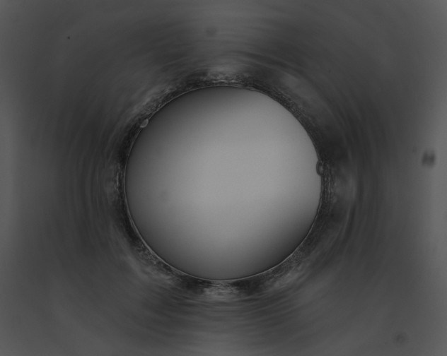 X0000091530603200708311312