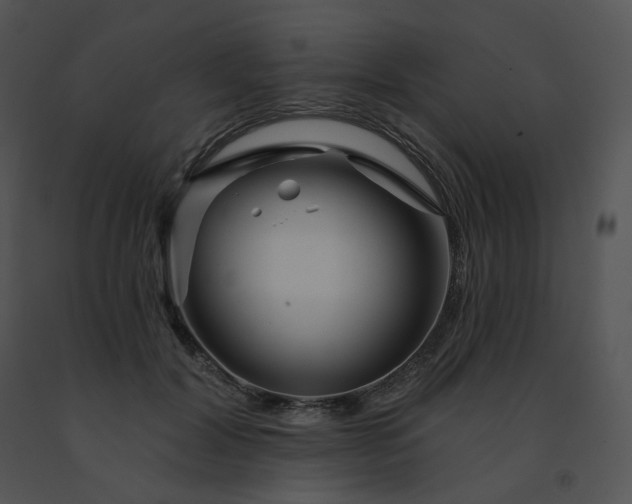 X0000091530604200708311312