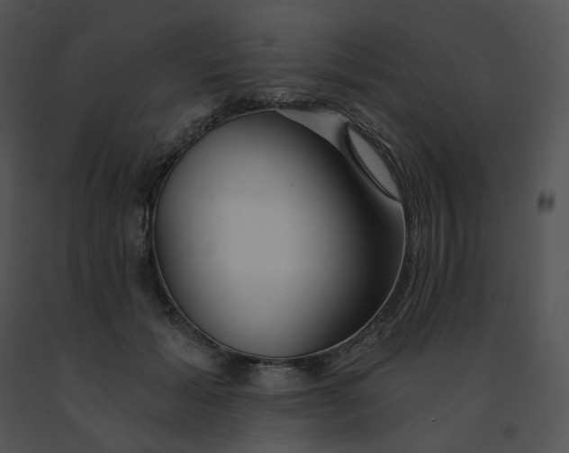 X0000091530605200708311312