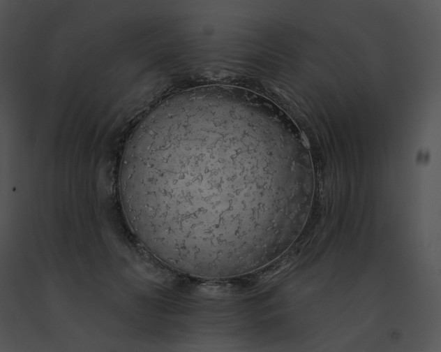 X0000091530606200708311312