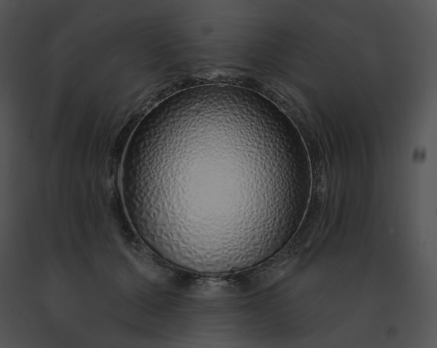 X0000091530607200708311312
