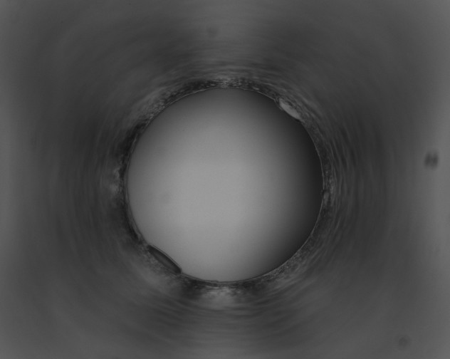 X0000091530611200708311312