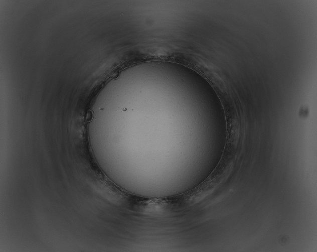X0000091530612200708311312