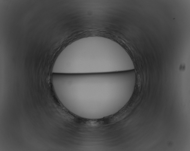 X0000091530613200708311312