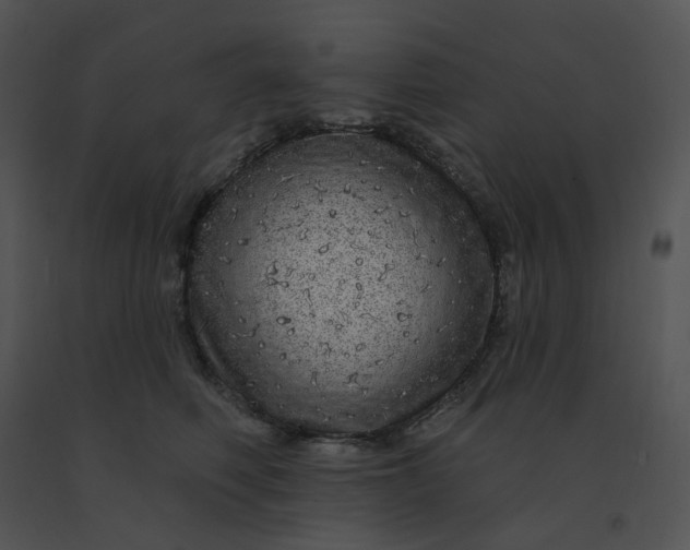 X0000091530614200708311312