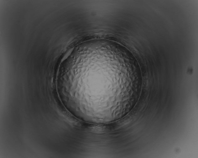 X0000091530615200708311312
