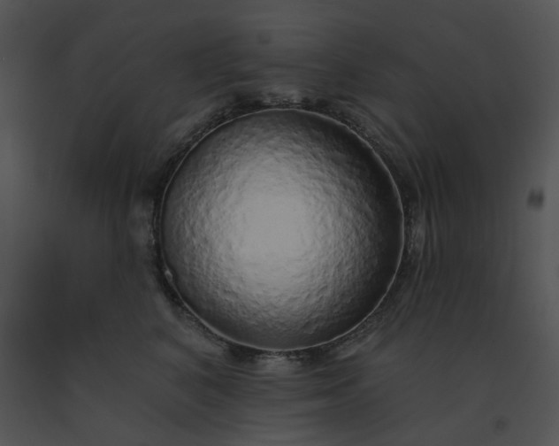 X0000091530616200708311312