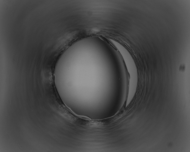 X0000091530617200708311312