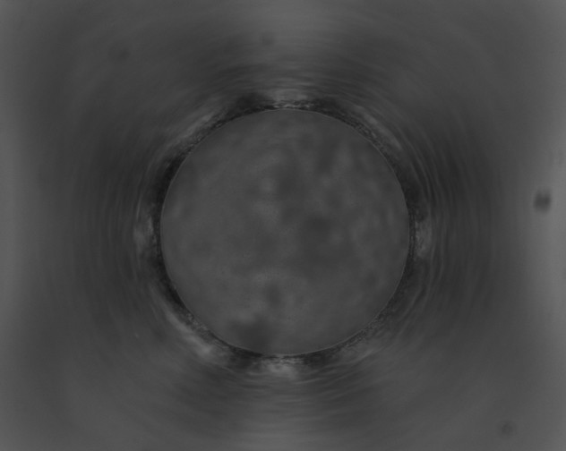 X0000091530618200708311312