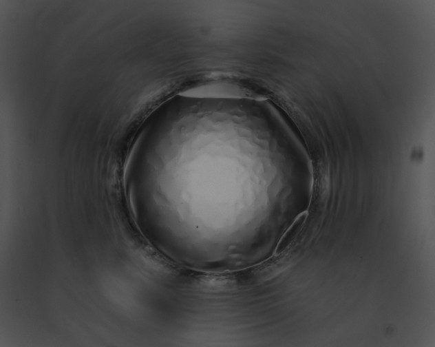 X0000091530619200708311312