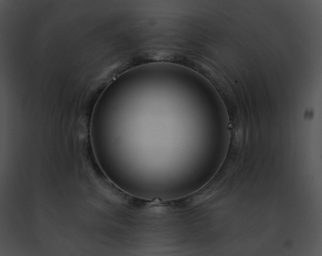X0000091530620200708311312