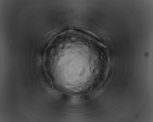 X0000091530623200708311312