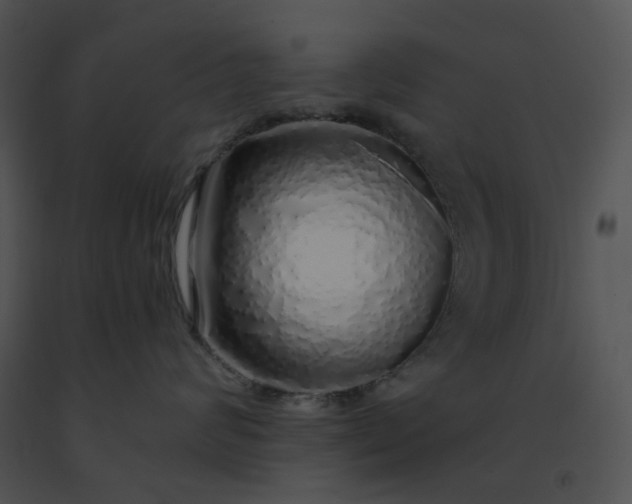 X0000091530624200708311312