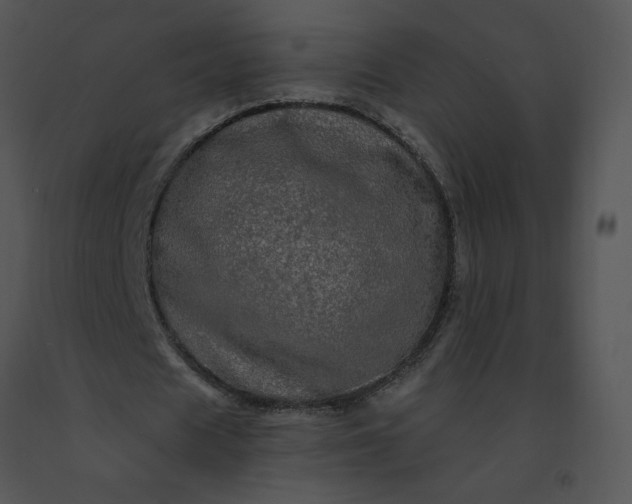 X0000091530625200708311311