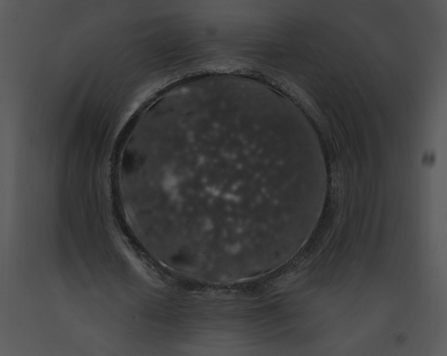 X0000091530626200708311311