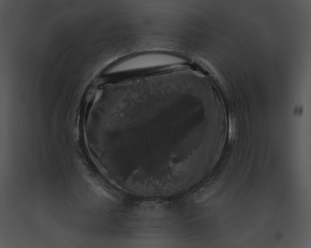 X0000091530627200708311311