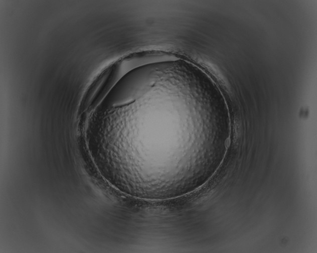 X0000091530628200708311311