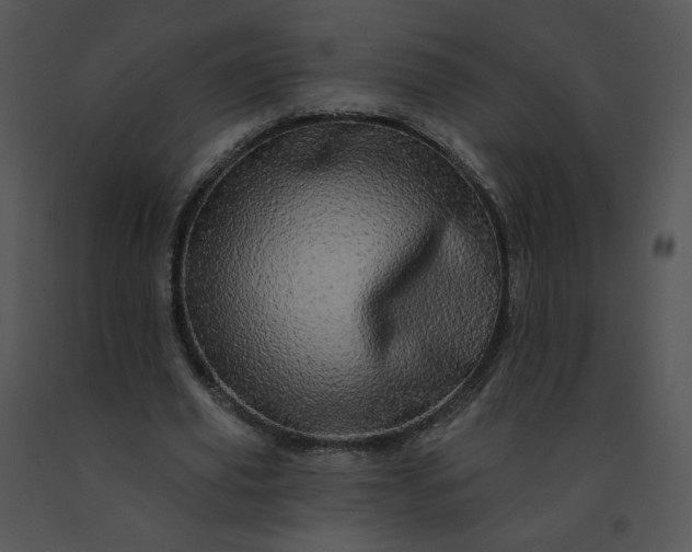 X0000091530629200708311311