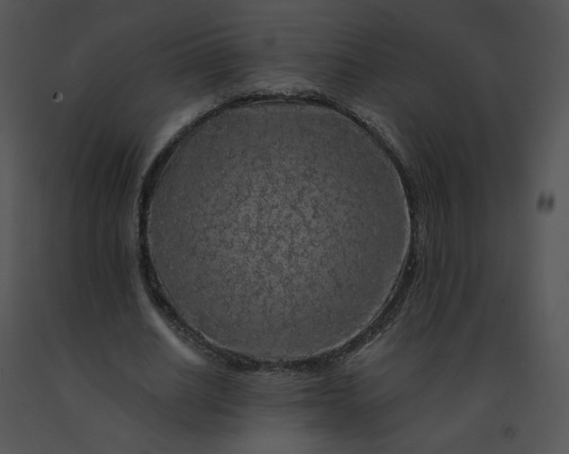 X0000091530630200708311312