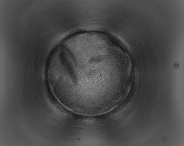X0000091530631200708311312