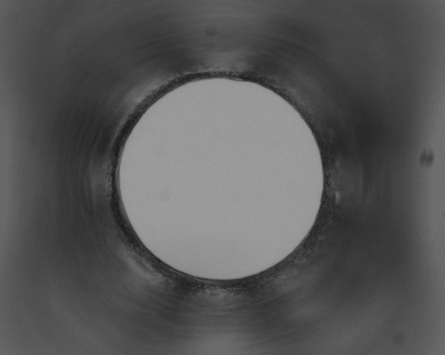 X0000091530632200708311312