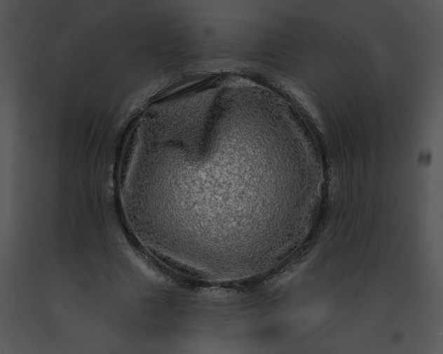 X0000091530633200708311312