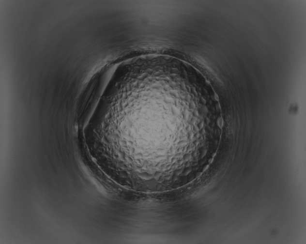 X0000091530634200708311312