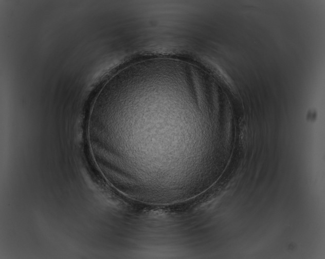 X0000091530635200708311312