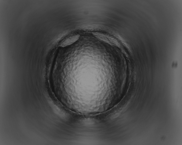 X0000091530637200708311312